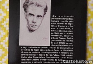 imagem_5