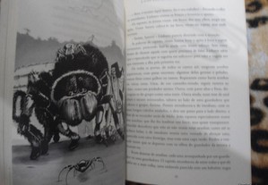 imagem_4