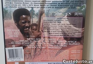 imagem_10