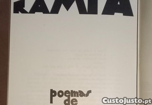 imagem_7