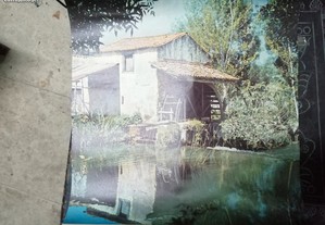 quadro/fotografia impressao , 1963 , rio almonda