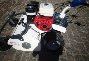 imagem_8