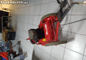 imagem_1