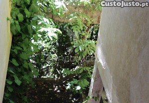 imagem_20