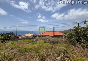 imagem_7