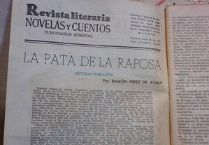 imagem_8