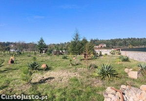 Terreno em Ervedal e Vila Franca da Beira