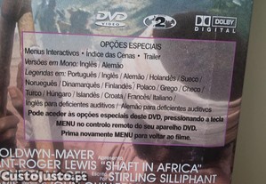 imagem_12