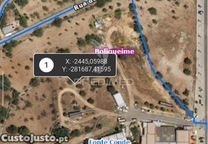 imagem_3