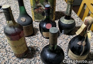imagem_1