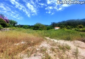 imagem_6