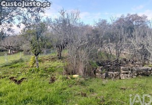 Terreno Agrícola em Chãos