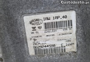 imagem_3