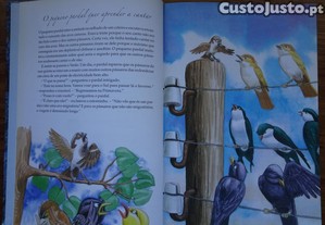 imagem_2