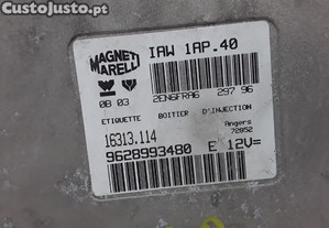 imagem_3