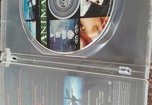 imagem_14