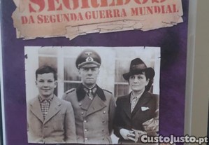 imagem_3