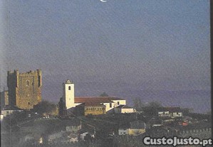 Ernesto Rodrigues. Pátria Breve.