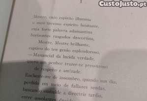 imagem_11