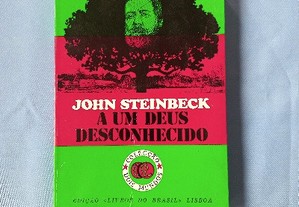 A um Deus desconhecido - John Steinbeck