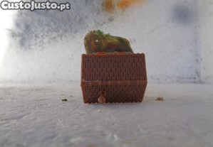imagem_6