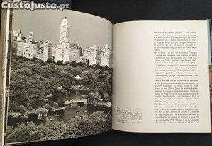 imagem_5