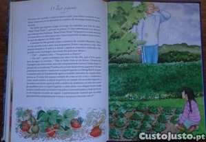 imagem_7