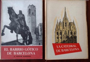 La Catedral e el Barrio Gótico de Barcelona
