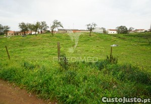 imagem_10