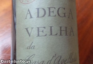 imagem_2