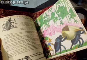 imagem_5
