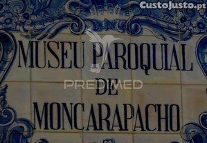 imagem_11