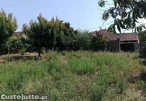 Casa antiga, tipo lavrador, lagar, currais e arrumos muitas arvores de fruto