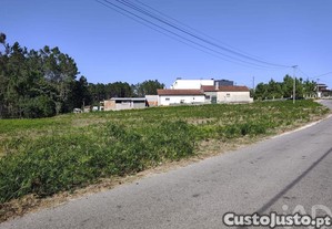 Terreno Agrícola em Maceira