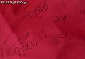 imagem_4