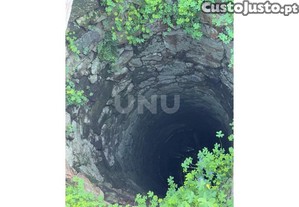 imagem_15