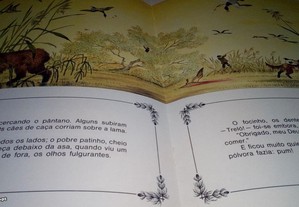 imagem_5