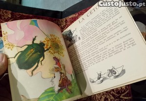 imagem_7
