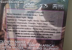 imagem_11
