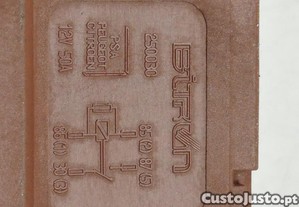imagem_3