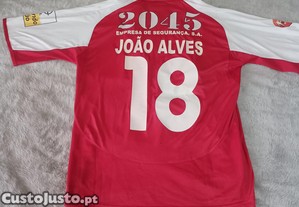 imagem_8