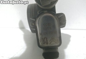 imagem_3
