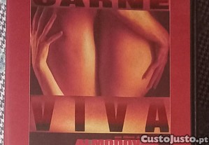 imagem_6