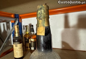 imagem_3