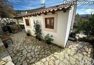 imagem_15