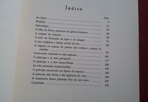 imagem_3