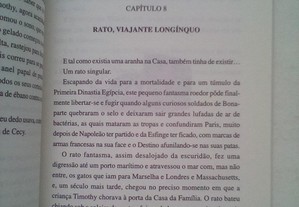 imagem_7