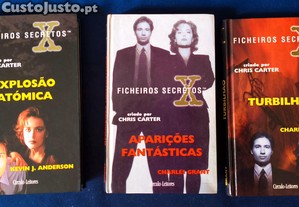 imagem_3