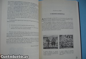 imagem_7