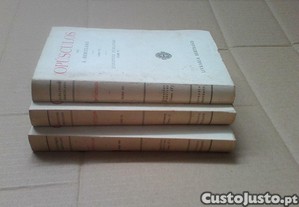imagem_8